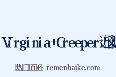 Virginia+Creeper近义词是什么意思的图片